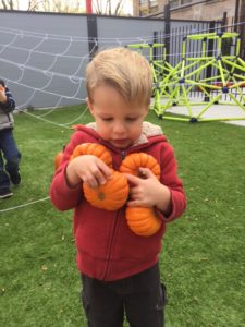 pumpkin patch 03 newport childrens academy