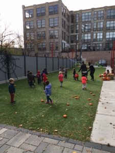 pumpkin patch 05 newport childrens academy